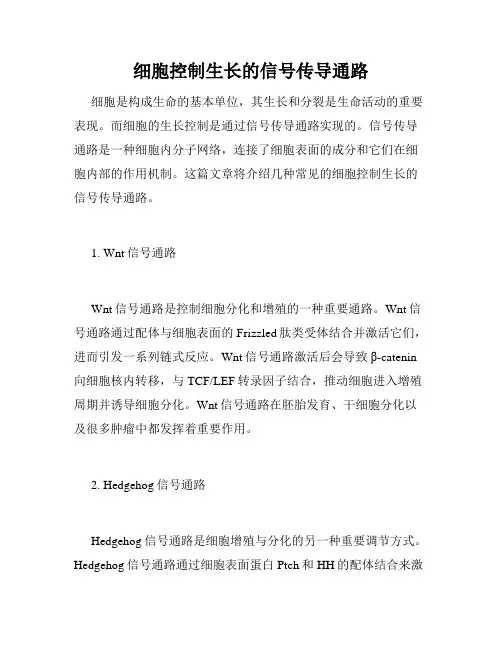 细胞控制生长的信号传导通路