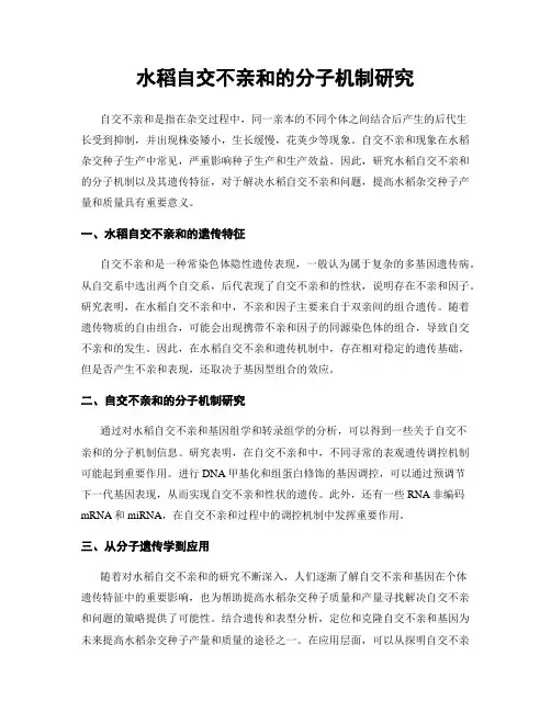 水稻自交不亲和的分子机制研究