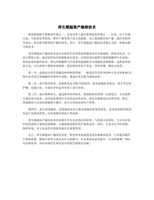 再生稻超高产栽培技术