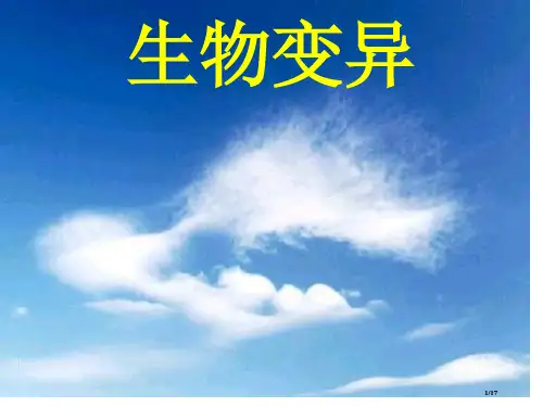 高二生物基因突变省公开课金奖全国赛课一等奖微课获奖PPT课件