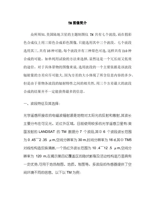 TM图像简介