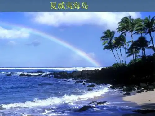 感悟珍珠港课件
