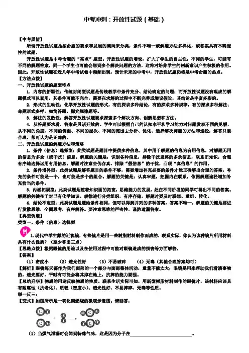 中考化学冲刺复习开放性试题基础知识讲解含解析