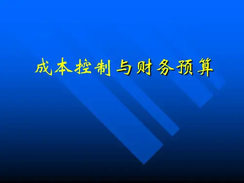 成本控制与财务预算