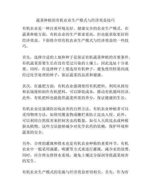蔬菜种植的有机农业生产模式与经济效益技巧