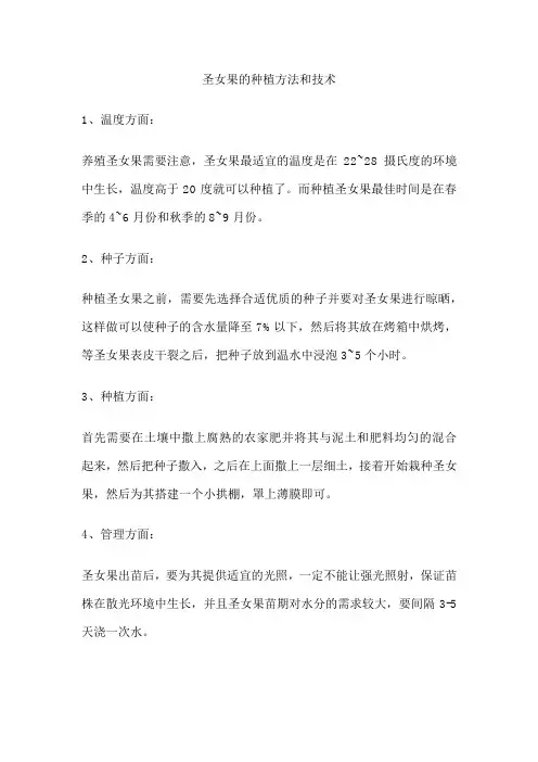 圣女果的种植方法和技术