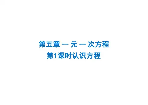 5.1认识方程 课件 北师大版数学七年级上册