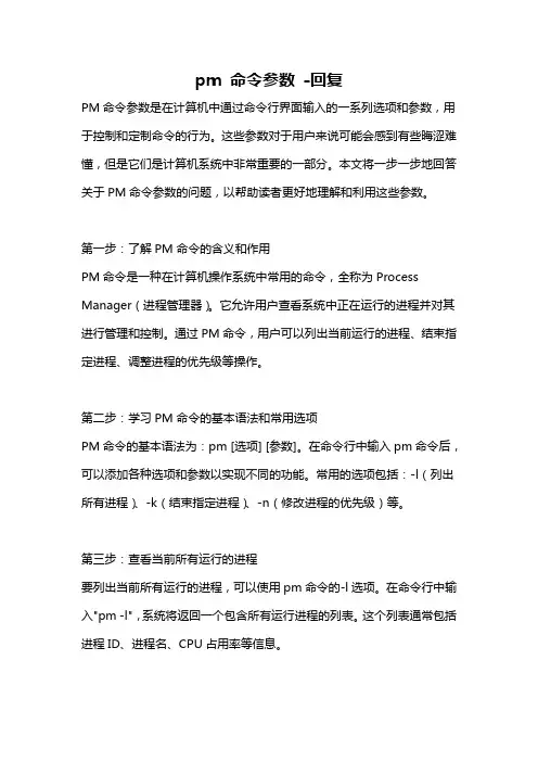 pm 命令参数 -回复