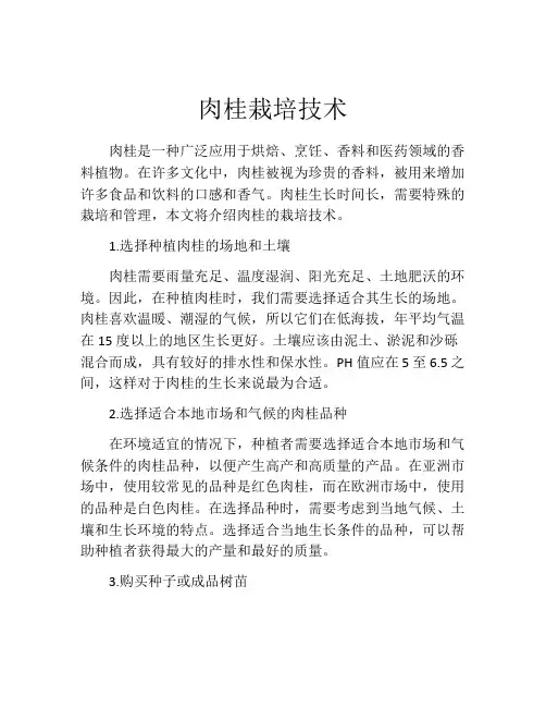 肉桂栽培技术