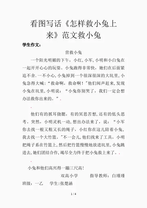 看图写话《怎样救小兔上来》范文救小兔(精选课件)