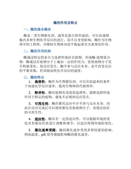 酶的作用及特点