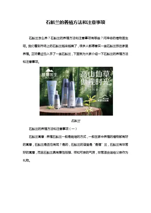 石斛兰的养殖方法和注意事项