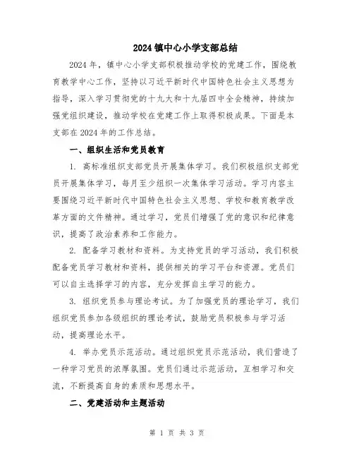 2024镇中心小学支部总结