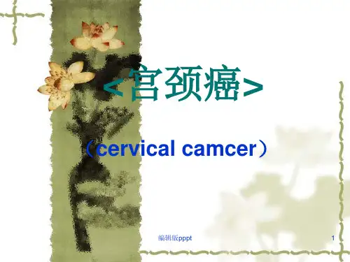 宫颈癌PPT课件