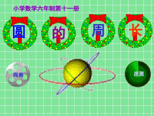 《圆的周长》课件