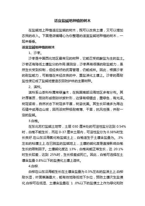 适宜盐碱地种植的树木