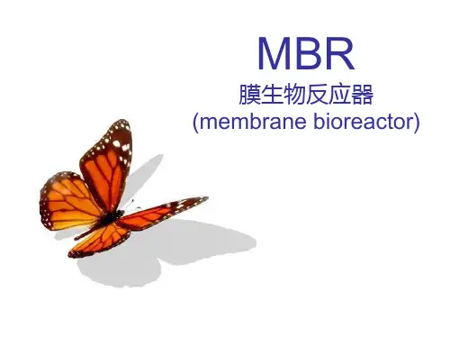 MBR膜生物反应器(membrane bioreactor)