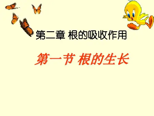 第二章 根的吸收作用 第一节 根的生长