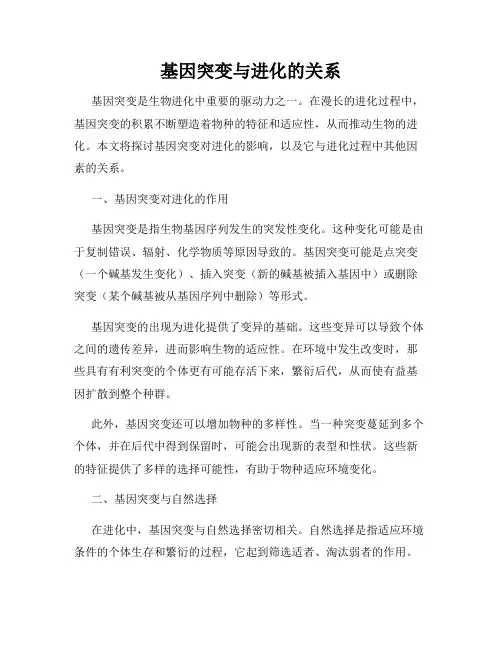 基因突变与进化的关系