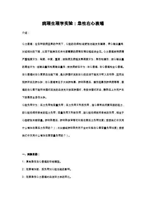病理生理学实验：急性右心衰竭