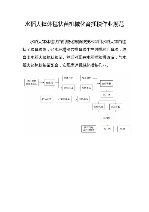 水稻大钵体毯状苗机械化育插秧作业规范