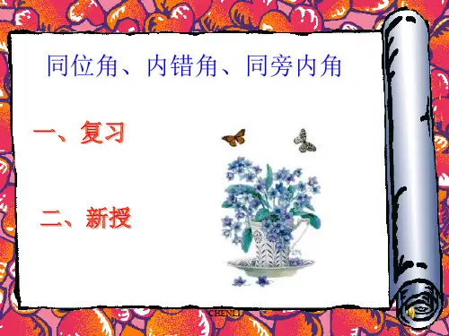 三线八角PPT课件