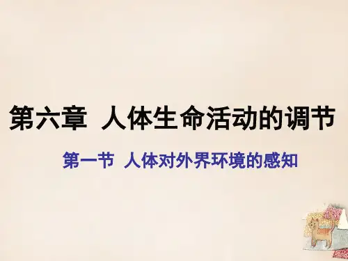 七年级生物下册-第六章-第一节-人体对外界环境的感知