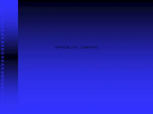 特种橡胶配方设计方案(PPT 53页)_12879
