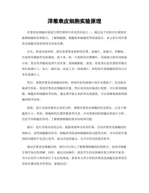 洋葱表皮细胞实验原理