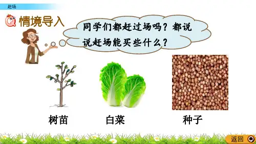 赶场PPT课件-西师大版二年级数学上册.pptx