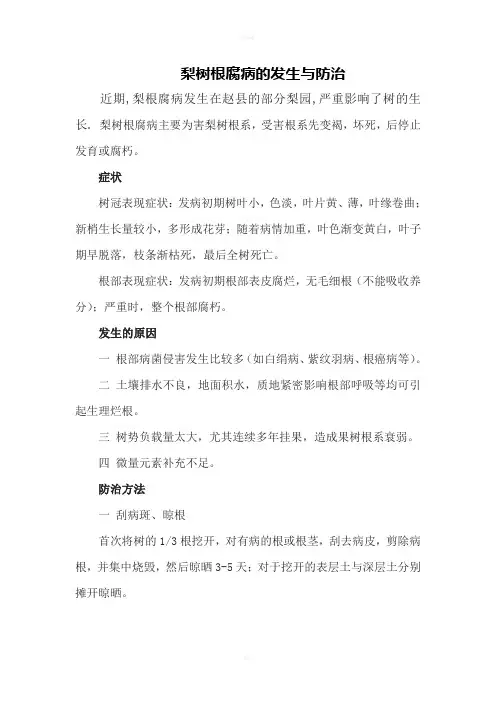 梨树根腐病的发生与防治