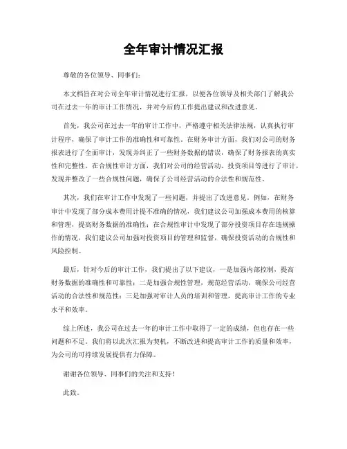 全年审计情况汇报