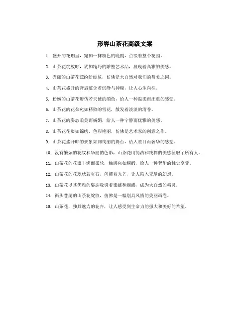形容山茶花高级文案
