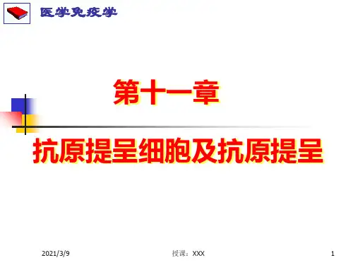 医学免疫学第十一章：APC及抗原提呈(新)PPT课件