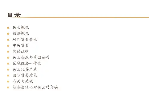 荷兰的国际经济与贸易ppt课件