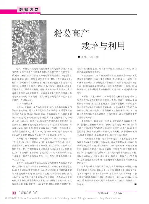 粉葛高产栽培与利用