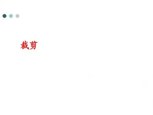 计算机图形学裁剪技术