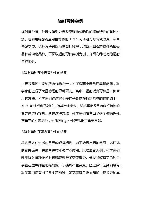 辐射育种实例