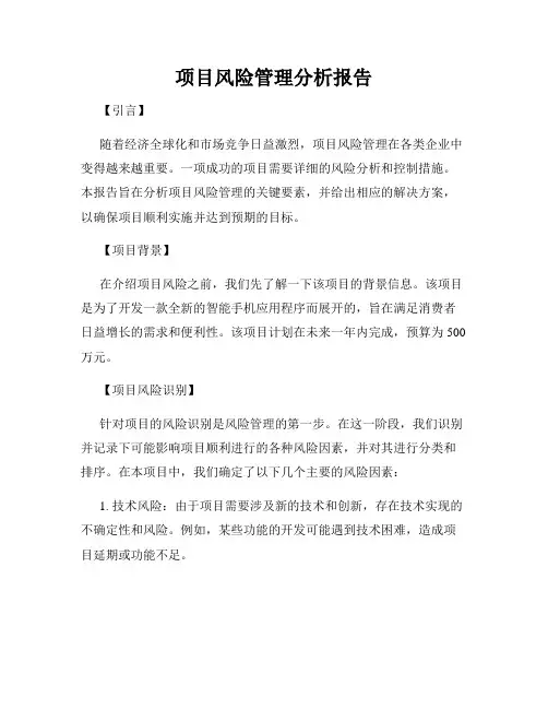 项目风险管理分析报告