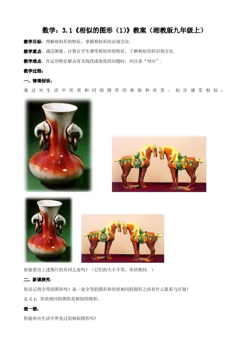 数学：3.1《相似的图形(1)》教案(湘教版九年级上)