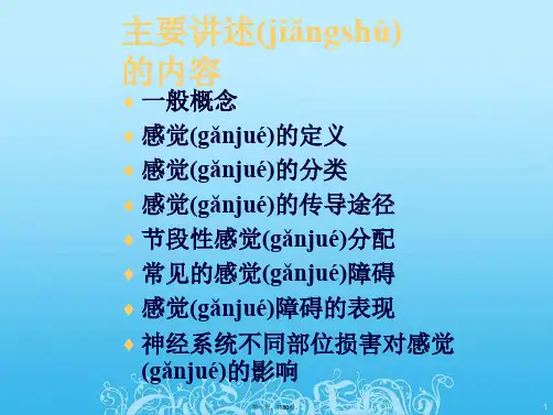 感觉功能的评定