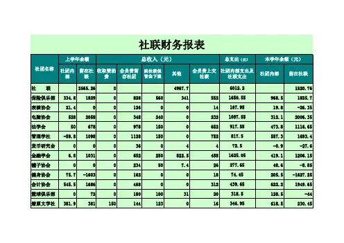 大学社联财务报表