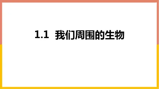 苏教版七年级生物上册 我们周围的生物 新课件