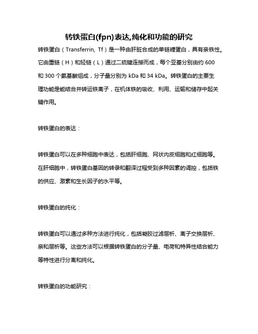 转铁蛋白(fpn)表达,纯化和功能的研究