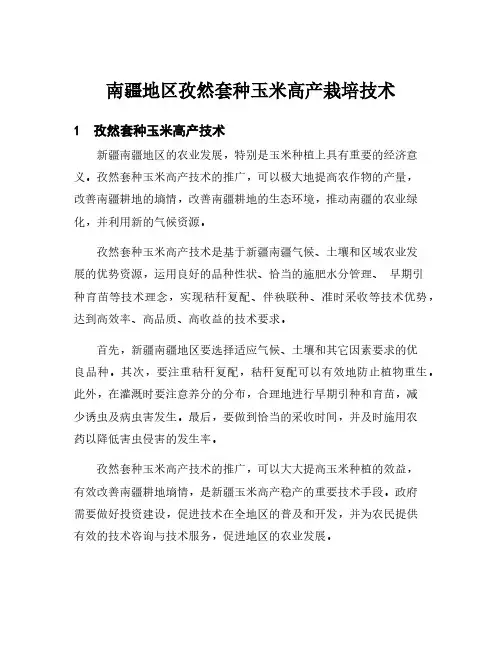 南疆地区孜然套种玉米高产栽培技术