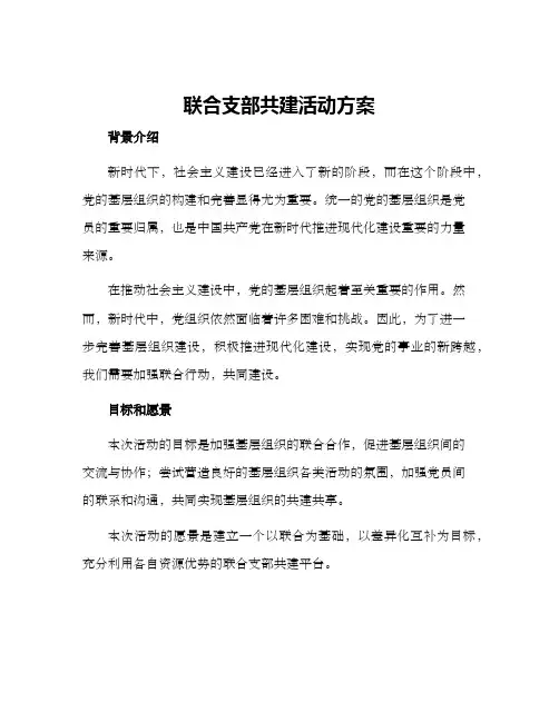 联合支部共建活动方案
