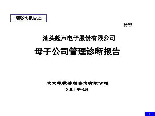某电子母子公司管理诊断报告(ppt 60页)