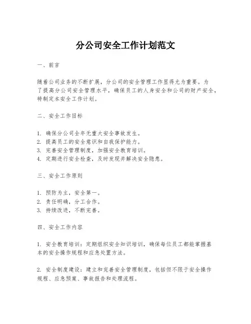 分公司安全工作计划范文