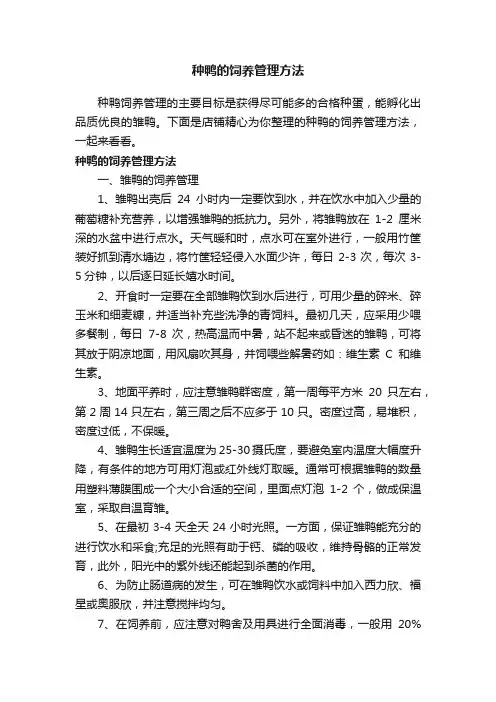 种鸭的饲养管理方法
