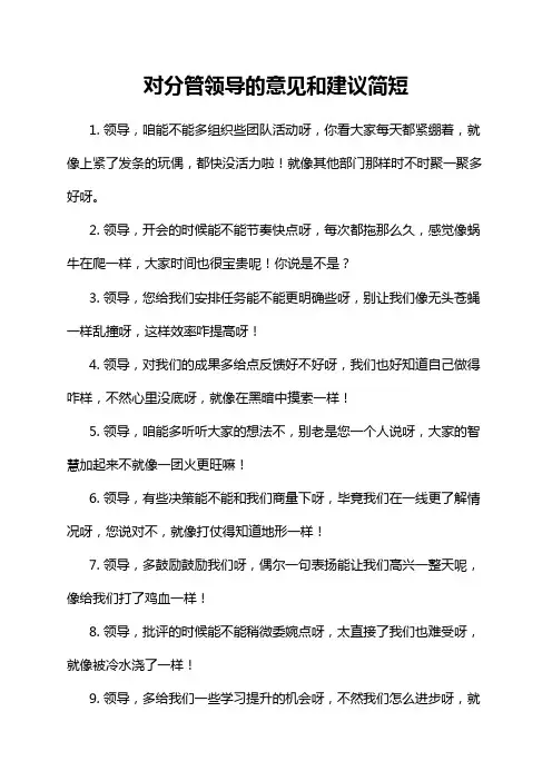 对分管领导的意见和建议简短
